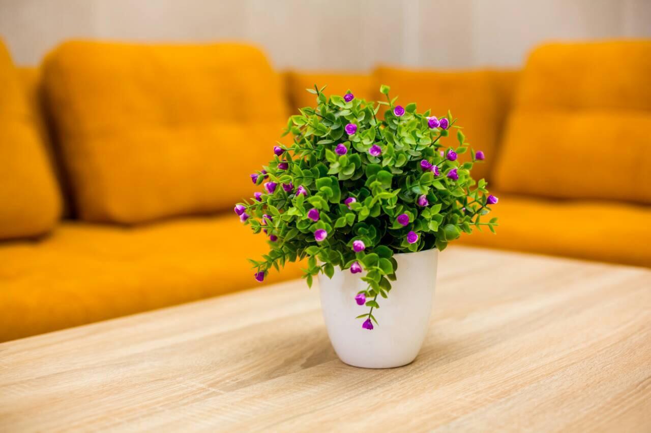 إلفيف Apartments In The Center المظهر الخارجي الصورة